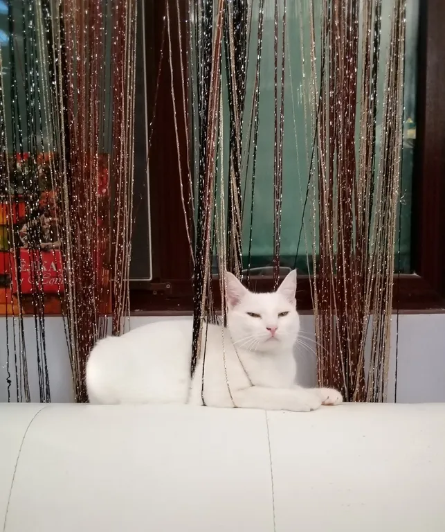 Апартамент в центре рядом с домом И. Айвазовского