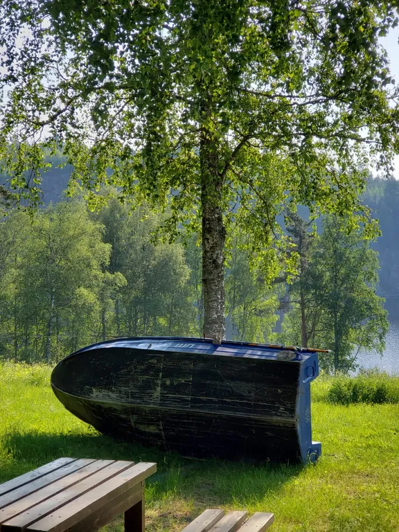 Фиалковый дом на Ладоге