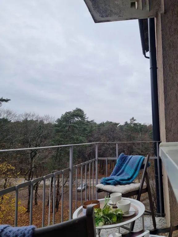 Квартира с видом на сосны