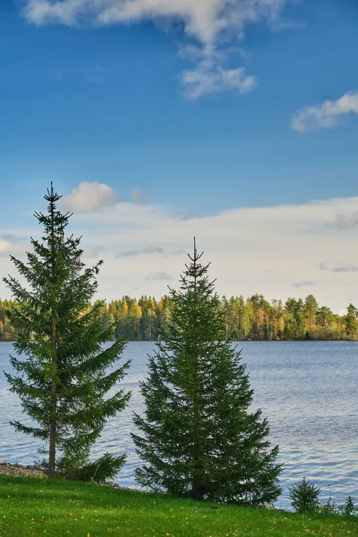 Дом у озера в Карелии