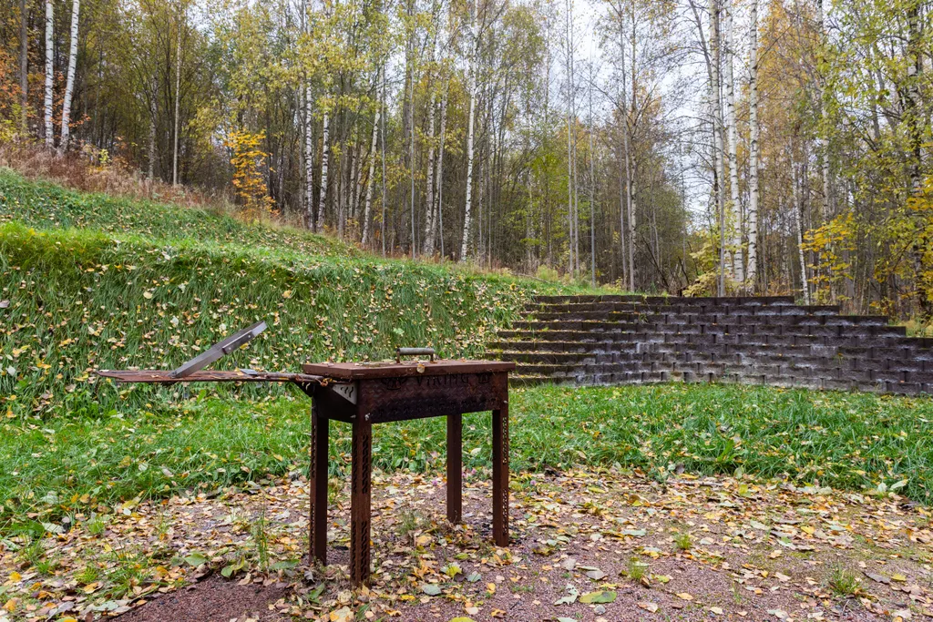 Коттедж Роскошный просторный коттедж для большой компании — Воейково