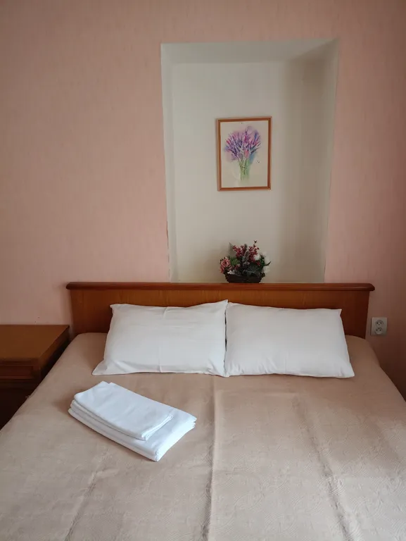 Квартира в центре — аренда посуточно в Кисловодск