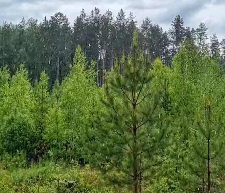 Загородный дом в живописном месте