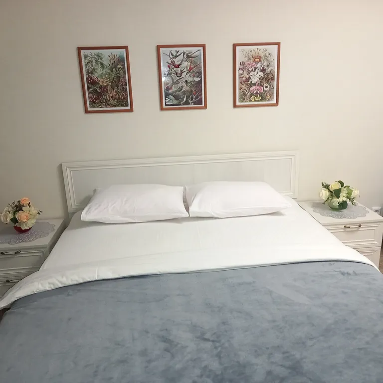 Апартаменты Пятница /"Гармония"/до 4чел/рядом с центром города