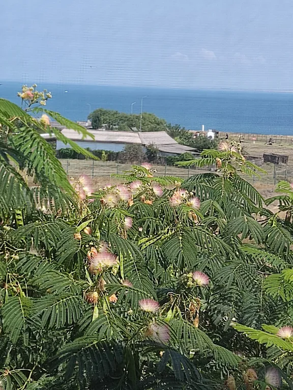 Танхаус на берегу моря