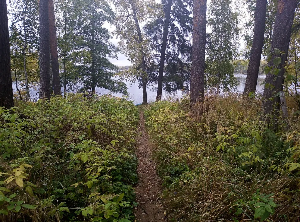 Квартира на берегу озера