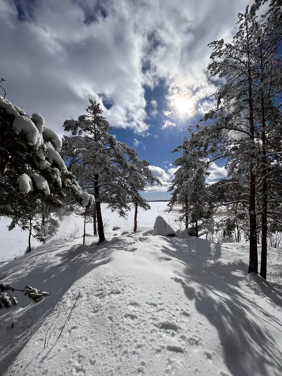 Стильный дом на берегу Ладожского озера с панорамным видом