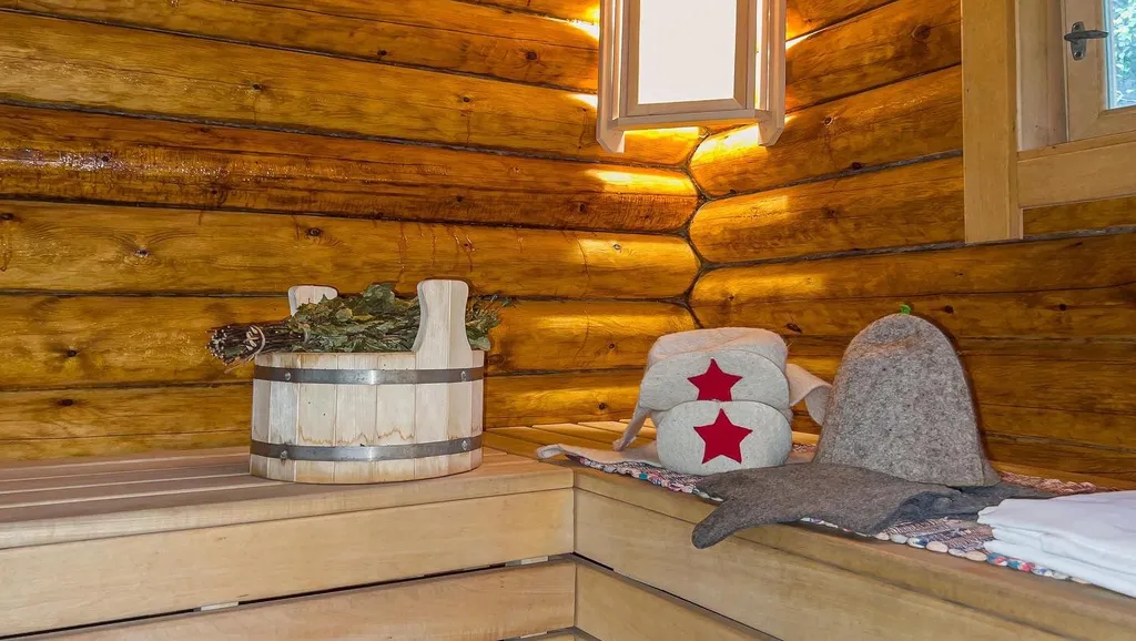 Коттедж Дом с баней и купелью — Агалатово