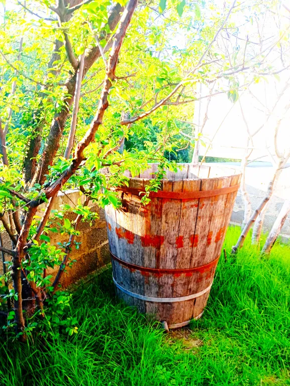 Домик в Адлере