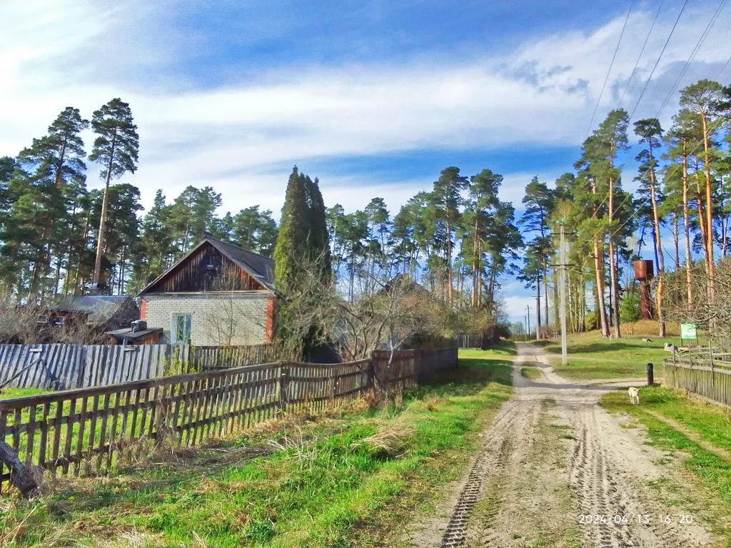 Коттедж Лесной домик за рекой — аренда посуточно в Моршанск