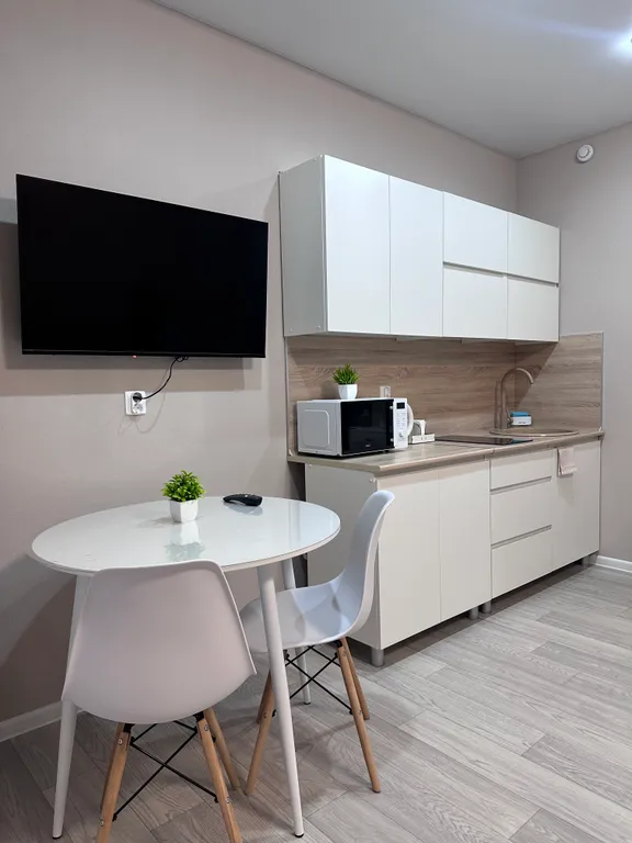 Уютная студия в центре города