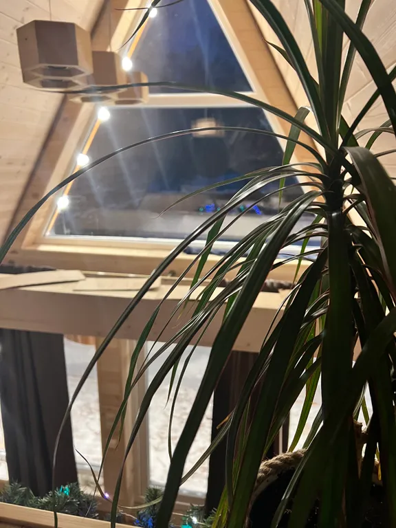 Семейный улей