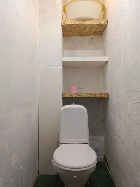 Городские джунгли в самом сердце