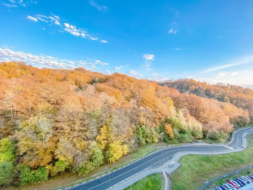 Квартира Уютные апартаменты Abri Luxe в Министерских озерах — Раздольное