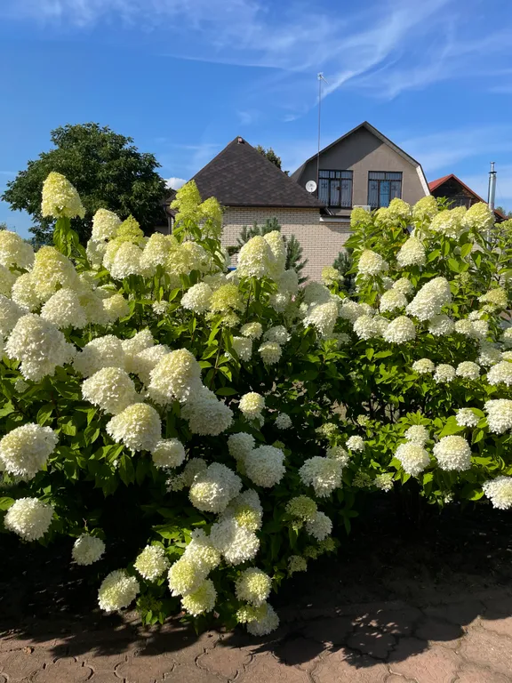 Дом с сауной и бассейном