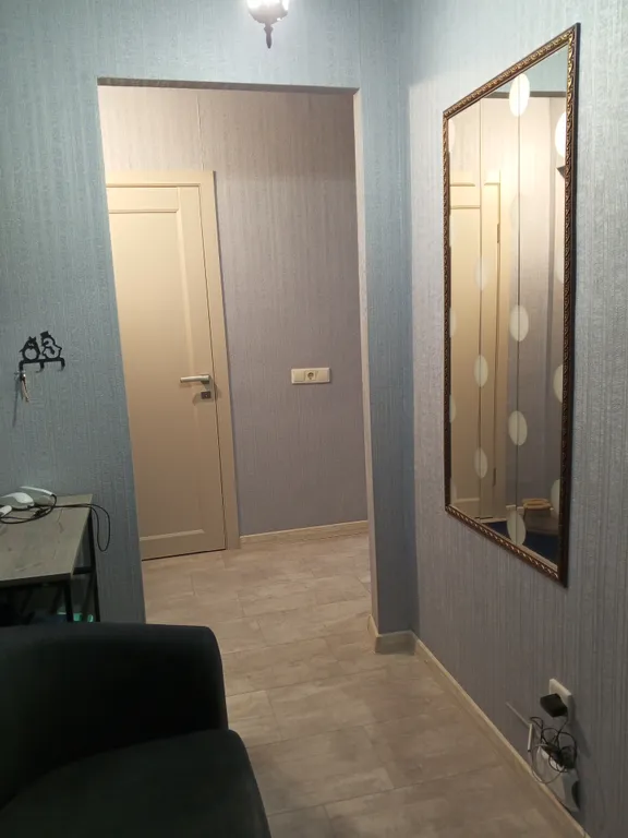 Однокомнатная квартира на Дзержинского, 33