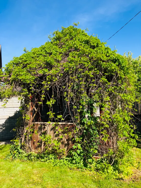 Коттедж Дом для отдыха семьей — Сокольники
