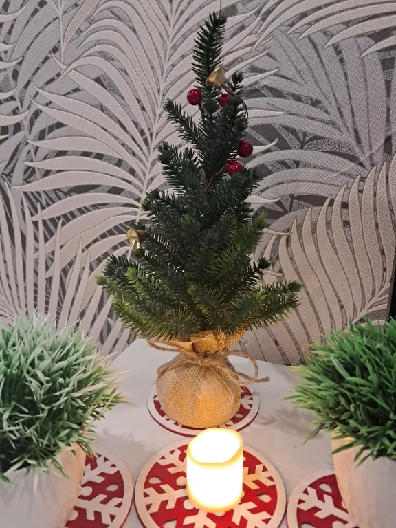 Квартира с прекрасным видом из окна рядом с сонькиной лагуной