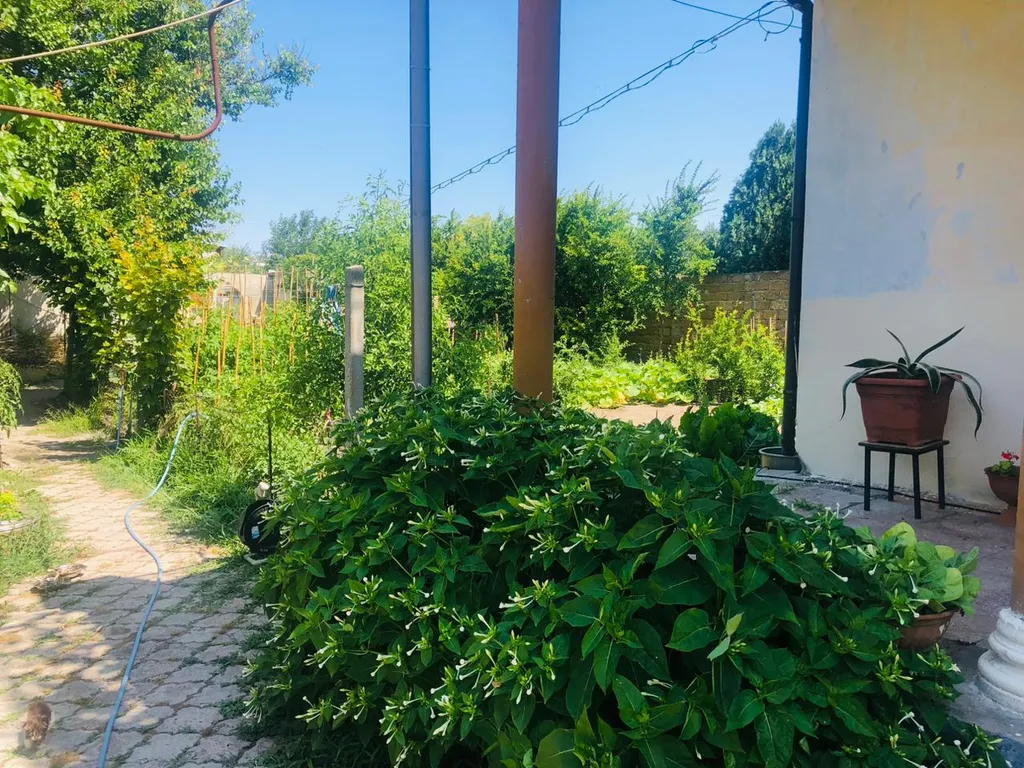 Дом для отдыха с большой беседкой