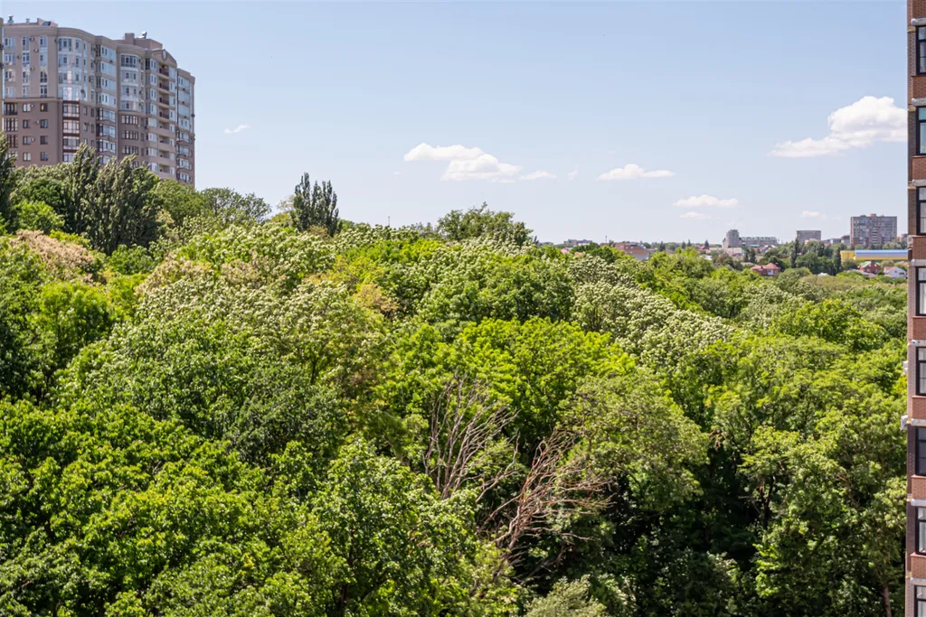 Апартаменты в центре города с видом на парк