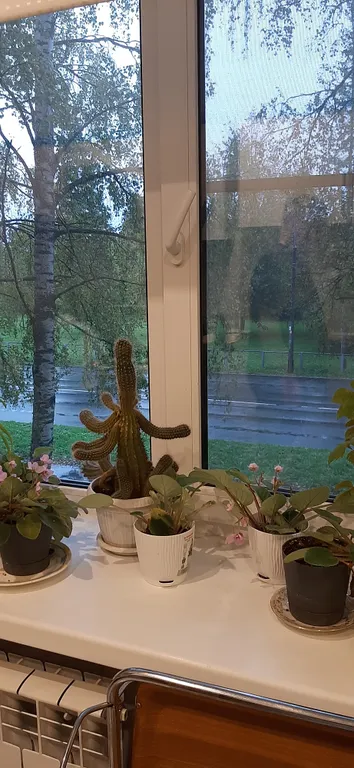 Уютная квартира в центре Петергофа с видом на сквер и пруд