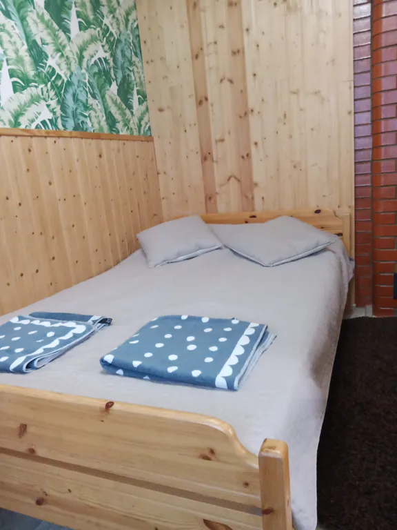 Дом в Карелии с печью-камином и видом на лес