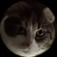 Оксана