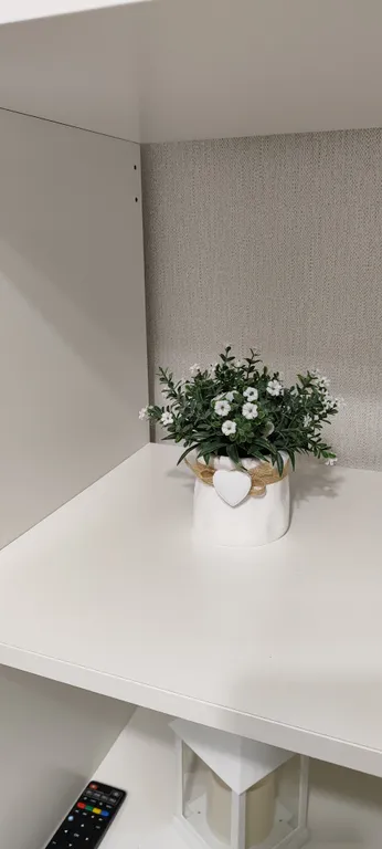 1-комнатная квартира с отдельной кухней