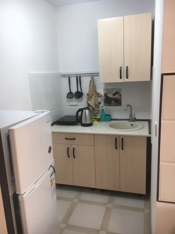 Квартира Квартира Уютная студия с мини-кухней и большим балконом — Любимовка