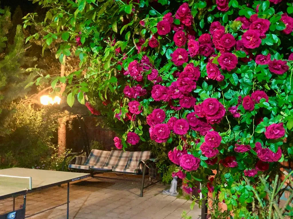 Дом с бассейном и сауной в 5 минутах на автомобиле до Коломенского Кремля