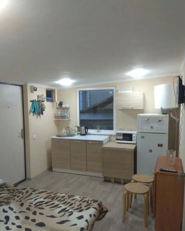 Коттедж 1-комнатный Дом — Сочи