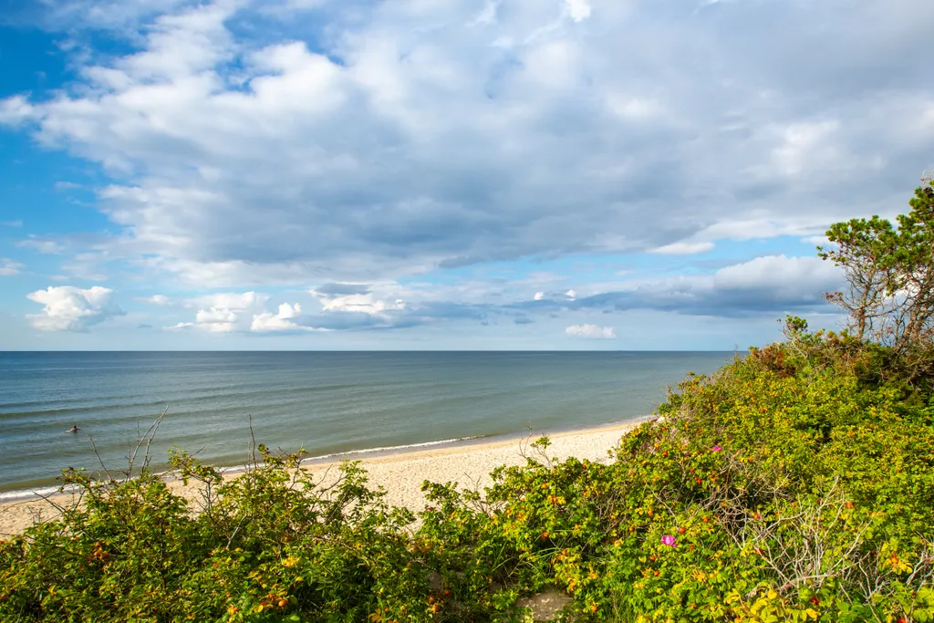 Барн Приморье: комфорт, рыбалка, прогулки к морю