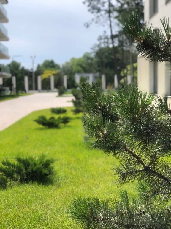 Квартира Апартаменты с бассейном в 5 минутах от чистого моря, дюн и дельфинария — Анапа