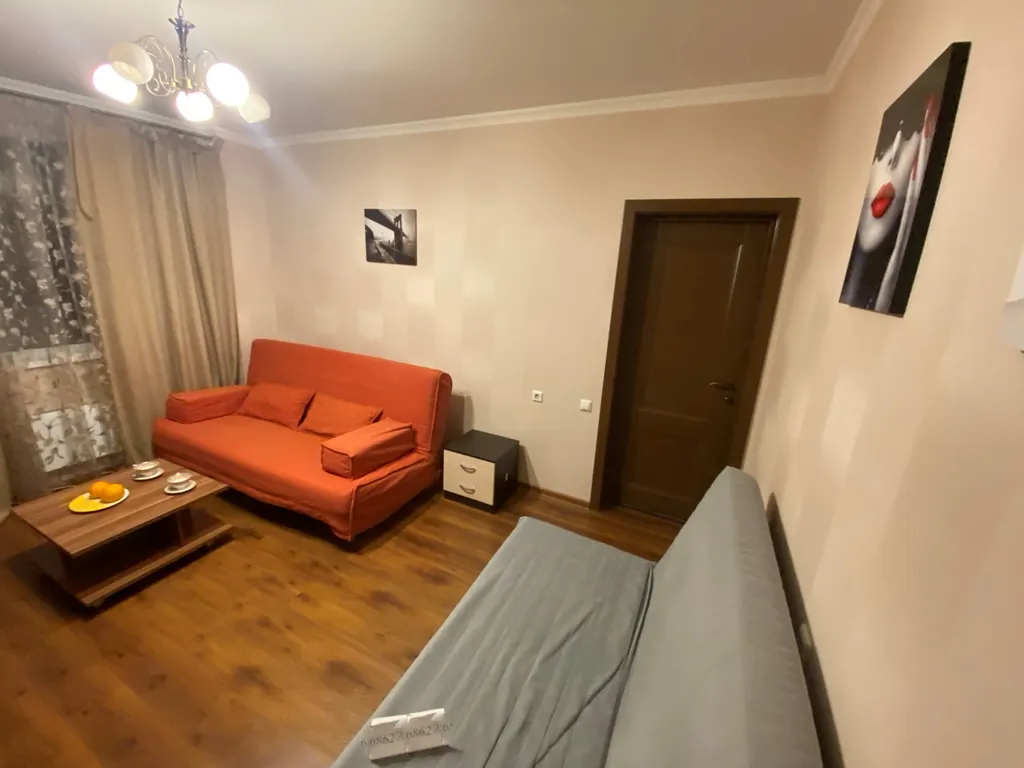 Красивая квартира с большим TV и Алисой