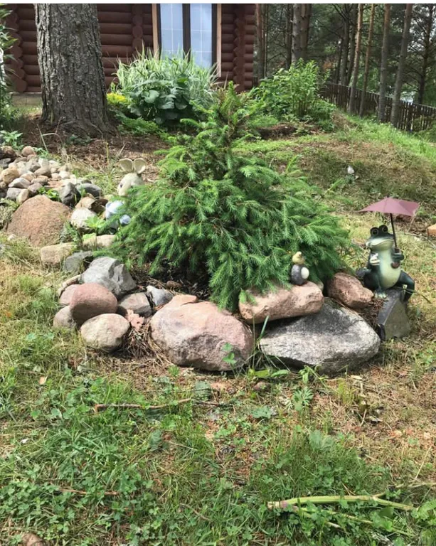 Домик на горе