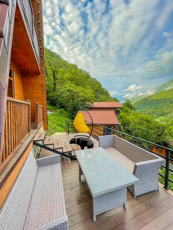 А-Дом с видом на горы по дороге на озеро Рица