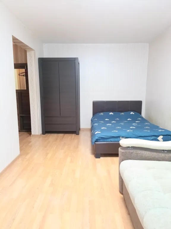 Уютная квартира в центре у метро Молодежная, Пушкинская