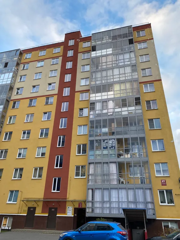 В лесной тиши