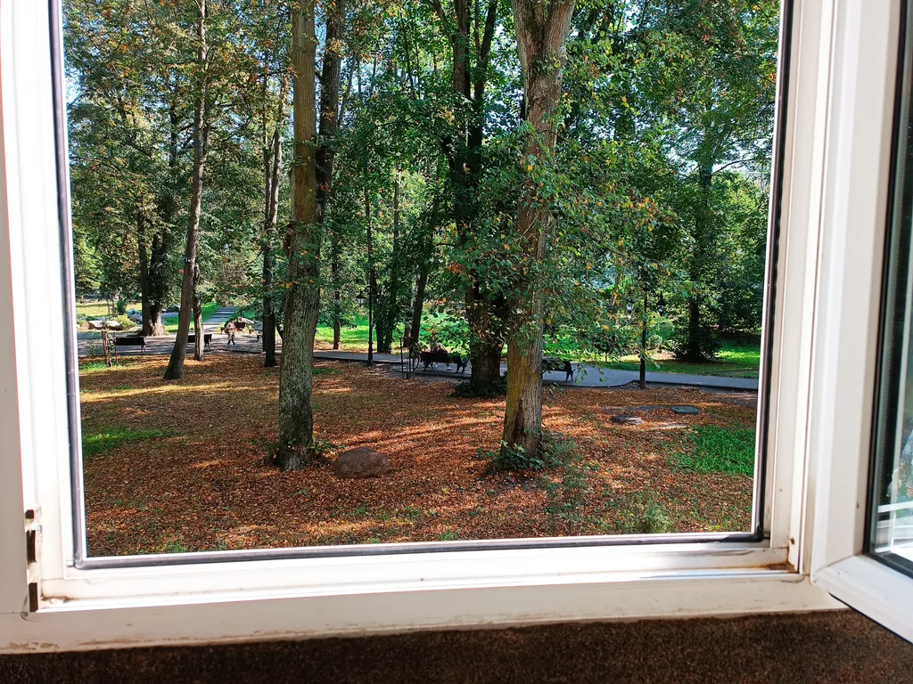 Квартира Уютная квартира в центре города с видом на парк. — Пионерский