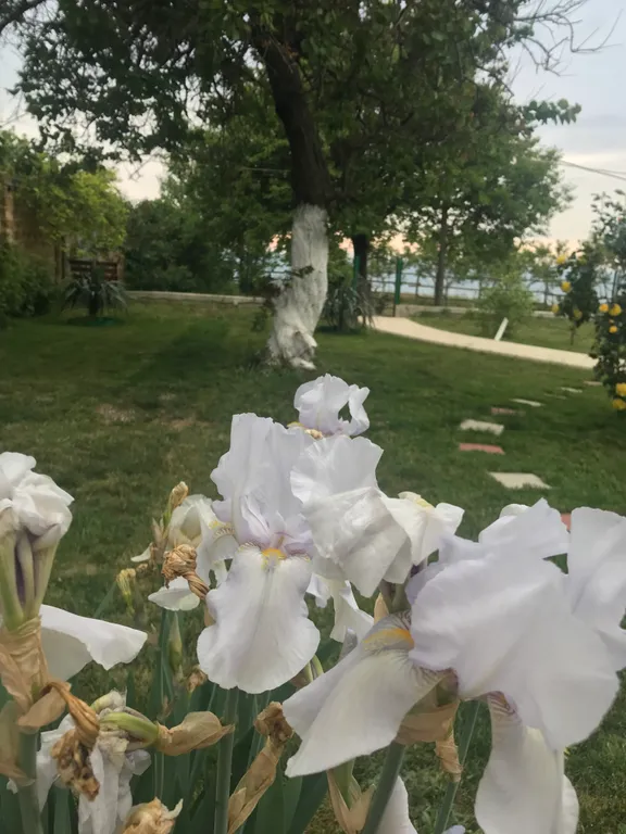 Квартира Квартира Номер с видом на море — Севастополь