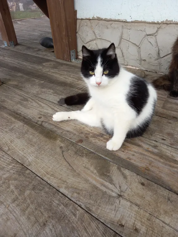 Уютная комната с видом на море