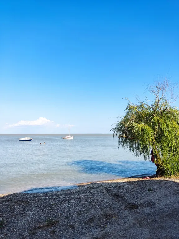 Квартира Квартира Уютный номер на первом этаже — Ейск