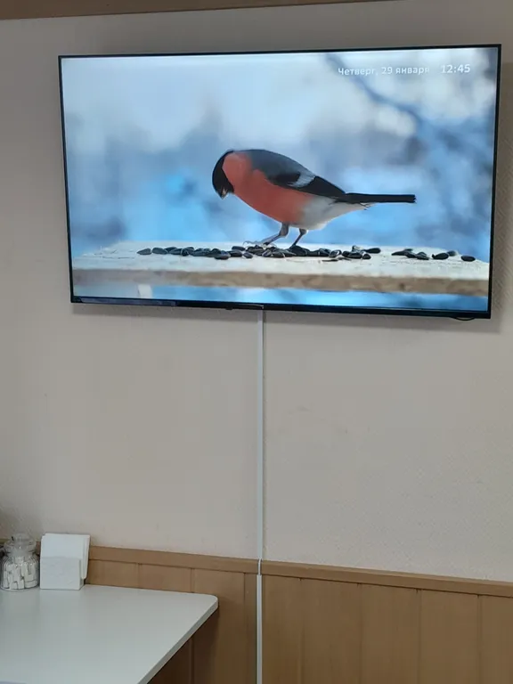 Современная студия