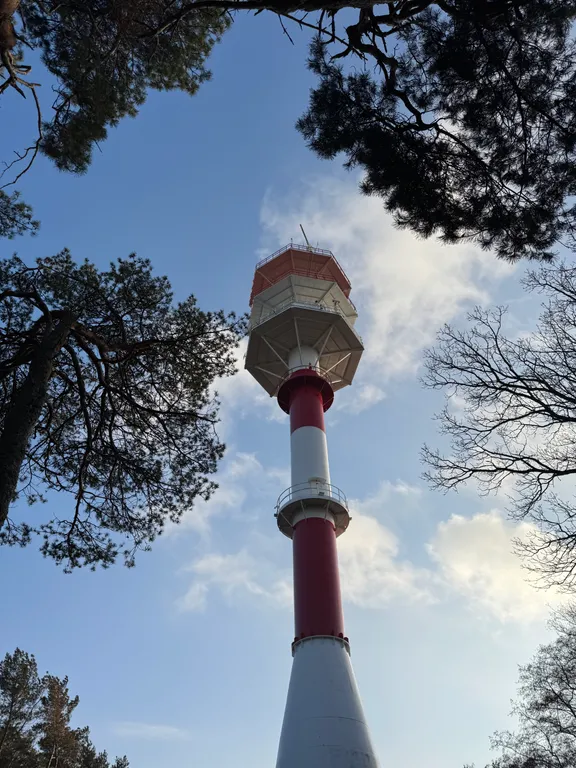 Дом с баней, караоке, PlayStation и Алисой на берегу моря