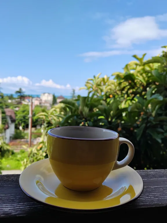 Квартира Новые апартаменты с видом на море в центре Гагры — Гагра