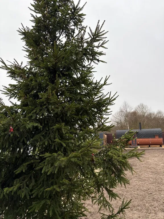 4-комнатный Дом