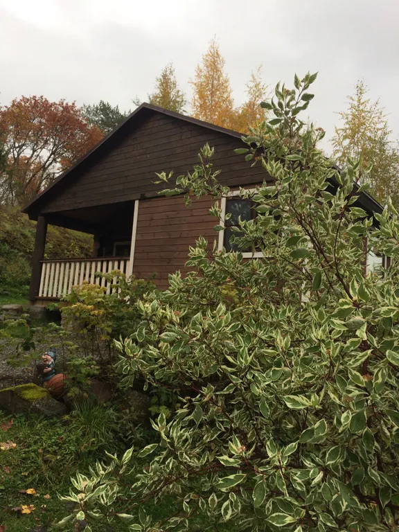 Коттедж Дом на берегу озера — аренда посуточно в Кончезеро