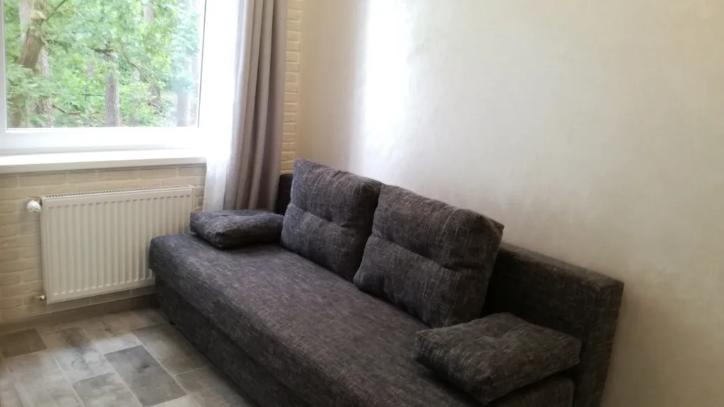 Студия в Сосновом бору