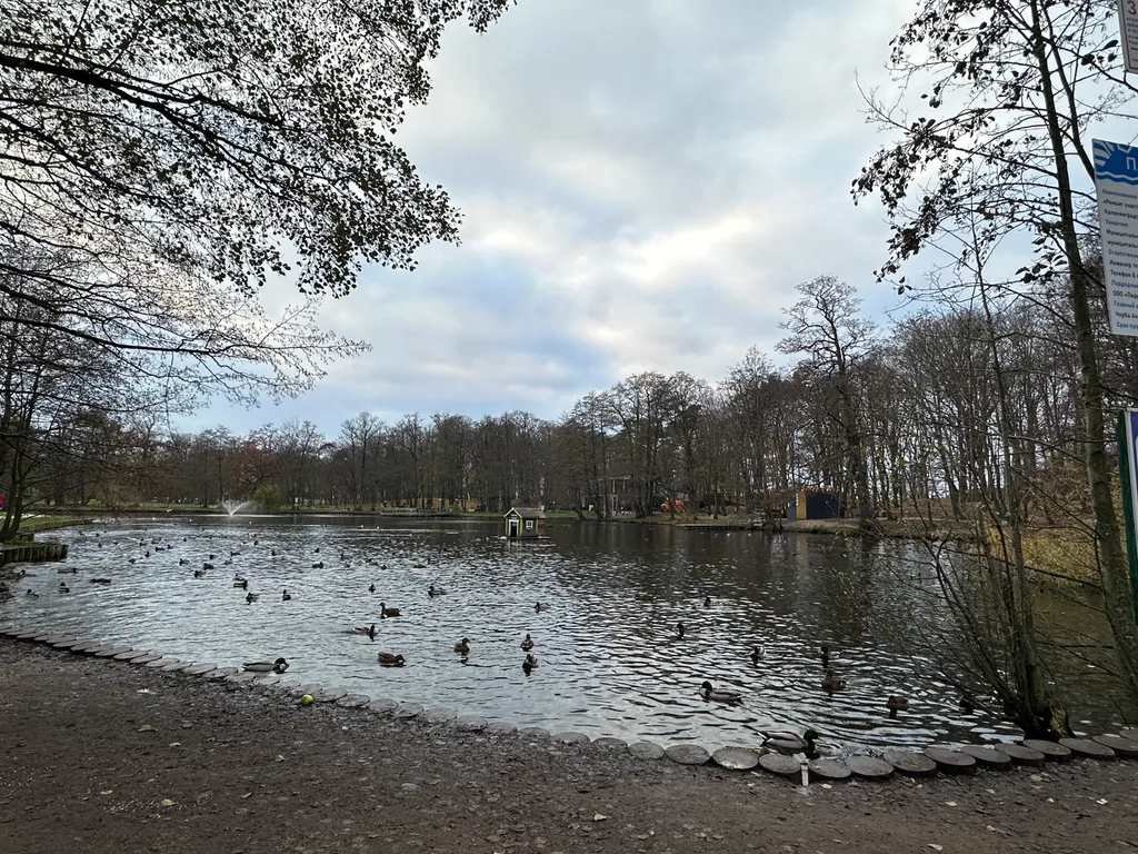 Квартира Ваш комфортный отдых у моря — Зеленоградск