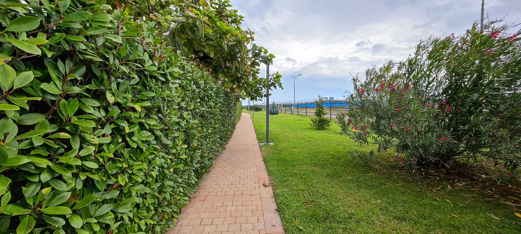 Квартира с выходом в сад -  Seagate